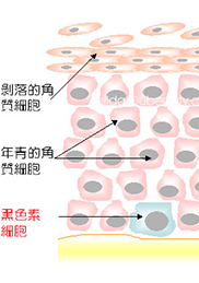 成都治疗白癜风哪家医院好：孩子手上的白斑是怎么回事?